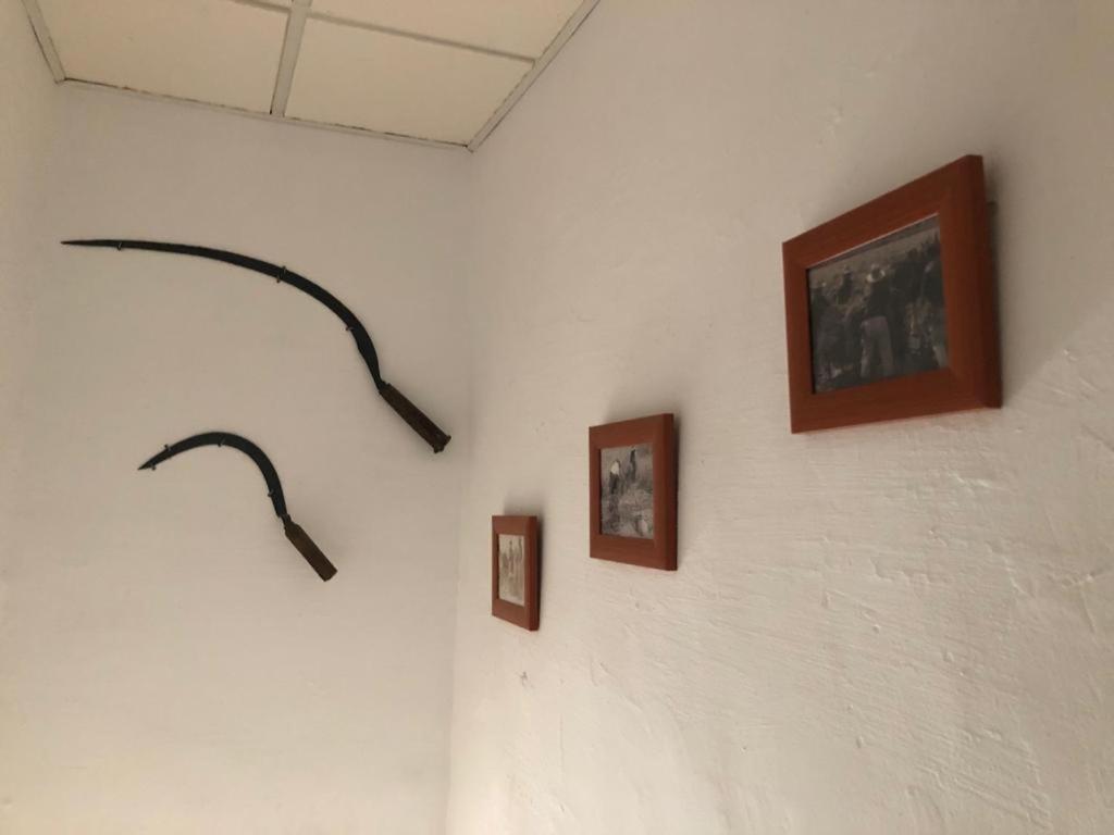 Hébergement de vacances Masia Tarranc *